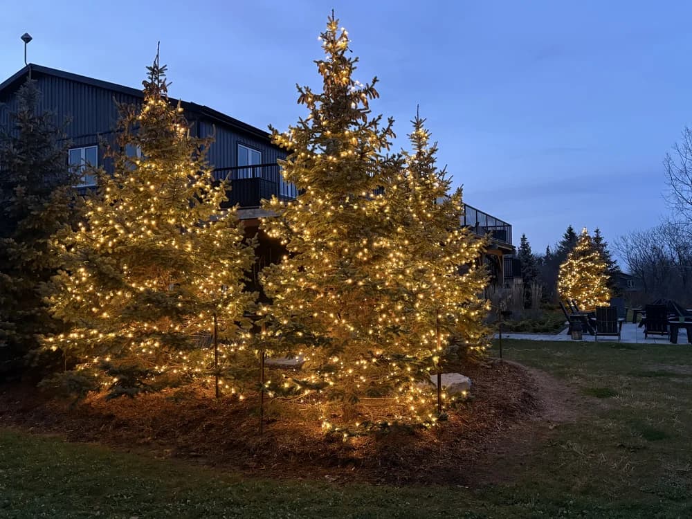 Christmas tree lights installed outdoors in Grimsby