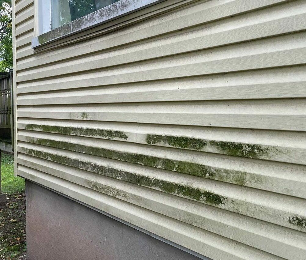 Before — Vinyl siding soft washing before and after in St. Catharines