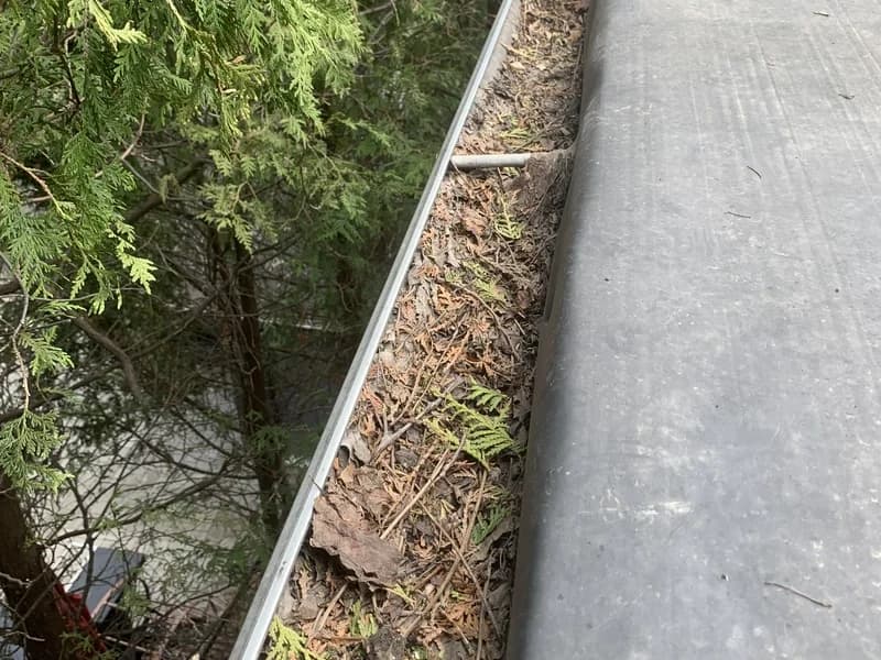 Before — Gutter cleaning before and after — leaves and debris removed in Niagara