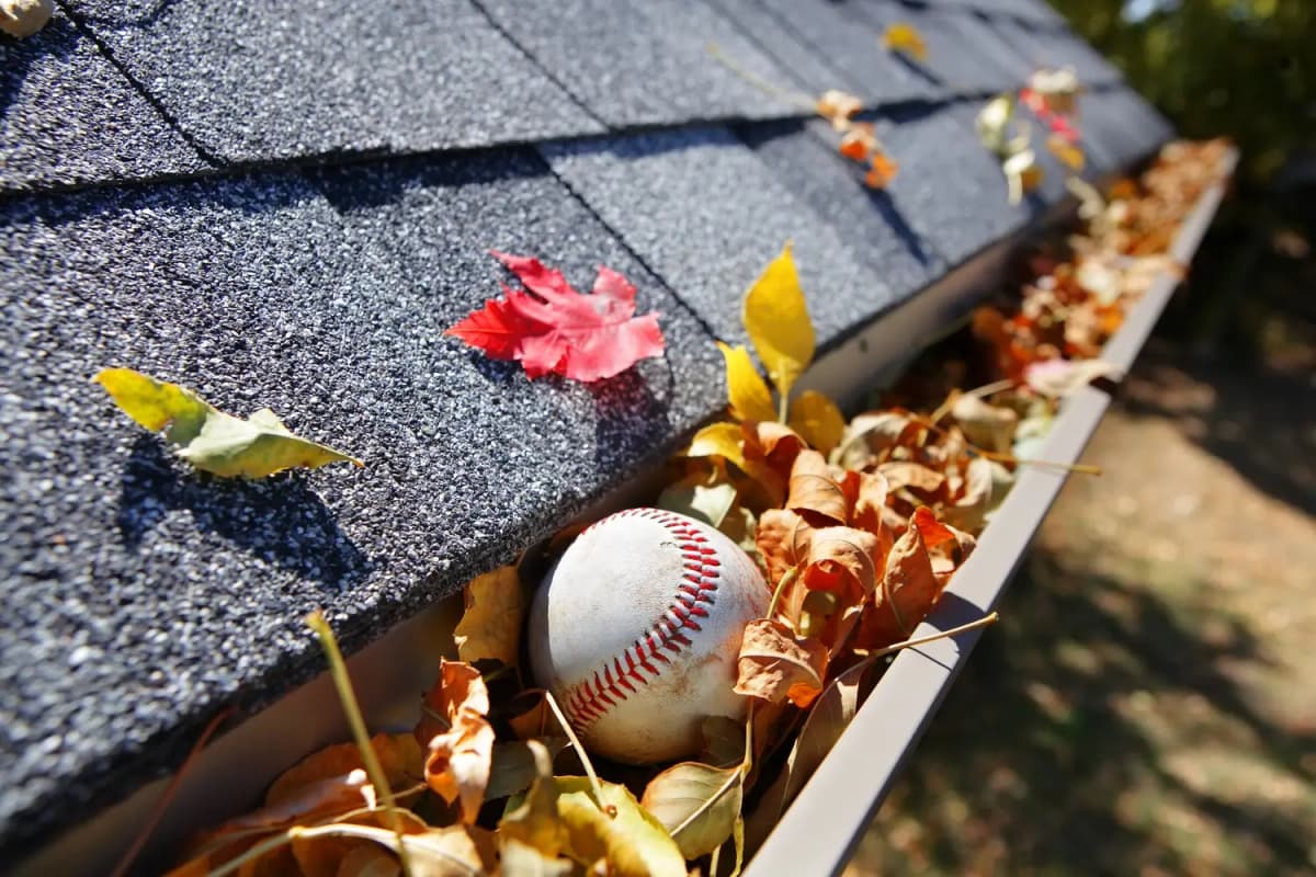 Gutter full of leaves before cleaning in St. Catharines
