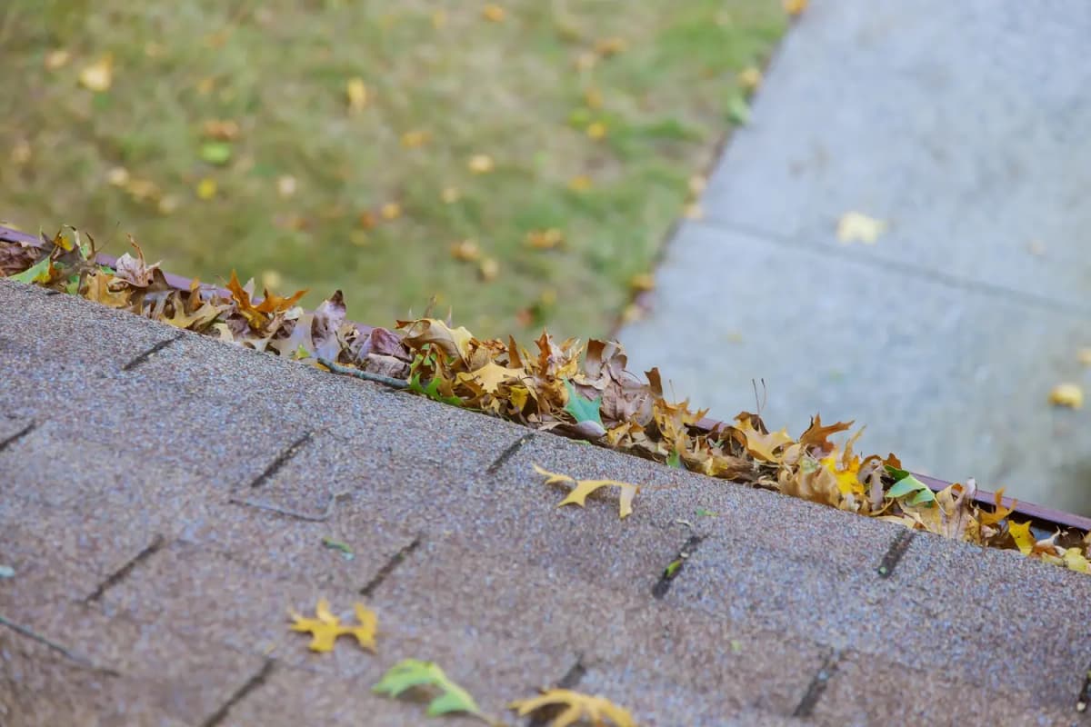 Roof with overflowing gutter before cleaning in St. Catharines